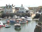 harbour.jpg